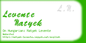 levente matyek business card